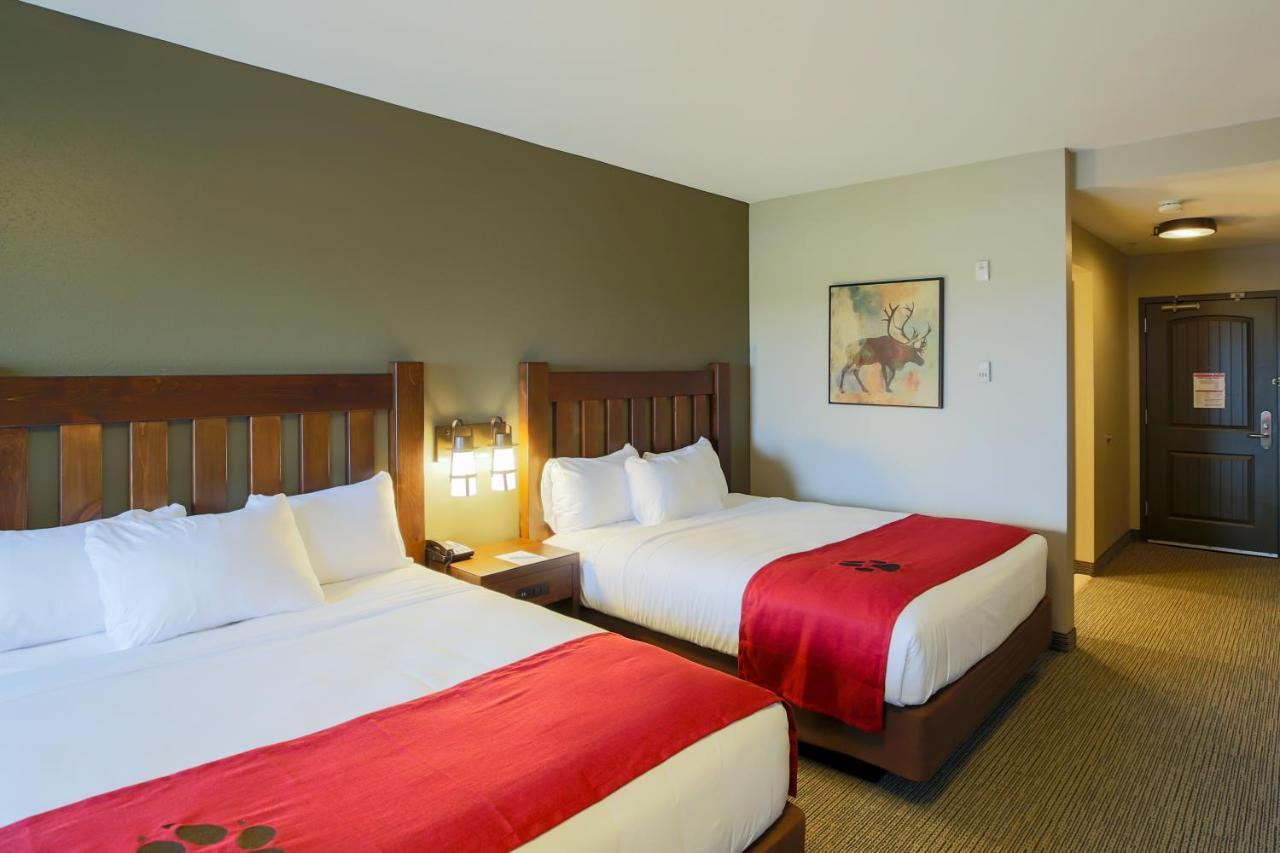Great Wolf Lodge Chicago/Gurnee Room photo