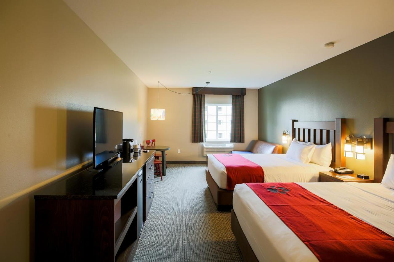 Great Wolf Lodge Chicago/Gurnee Room photo